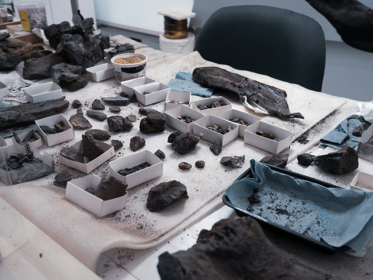 Campioni geologici ordinati in scatole su una superficie bianca.